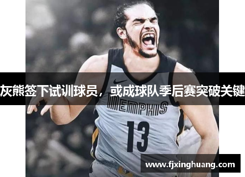 灰熊签下试训球员，或成球队季后赛突破关键